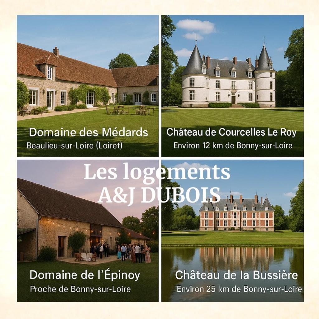 A&Jduplex - Bonny Sur Loire - Chateaux De Guedelon - Pont Canal Esterno foto